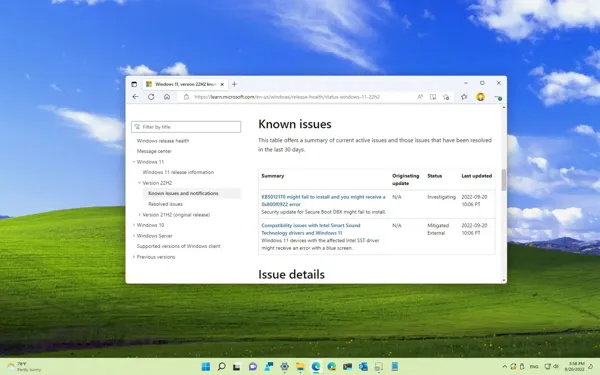 Windows 11 22H2 Update Known Issues