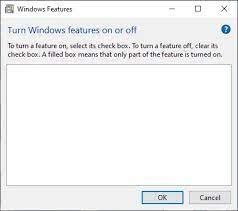 Windows 11 Optional Feature Box Empty