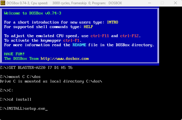 setup exe for dosbox and microsoft 3.1